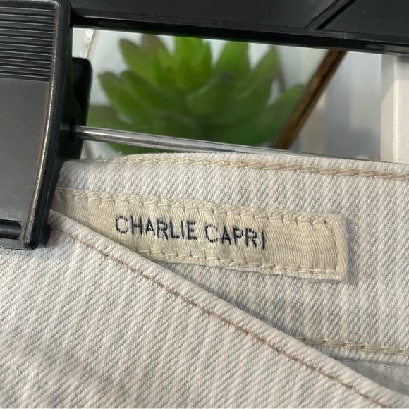 Lucky Brand Women's 6 Charlie Capri 28 Pinstripe Nautical Sailor Pants - Picture 10 of 10